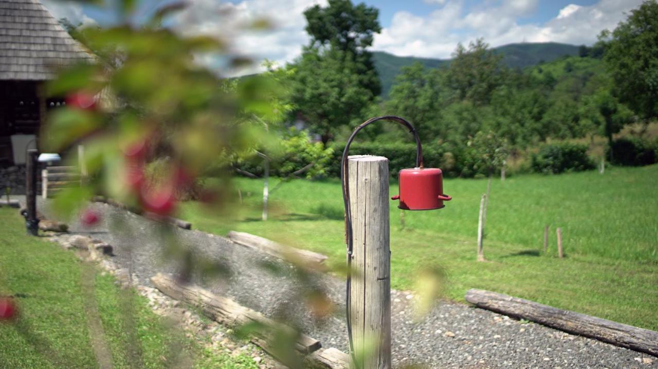 Surdesti  Iz De Maramures Rural Hotel (Adults Only) מראה חיצוני תמונה