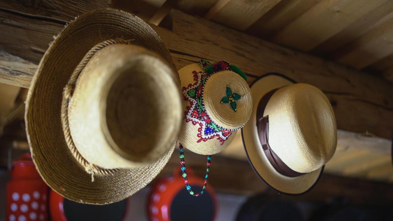 Surdesti  Iz De Maramures Rural Hotel (Adults Only) מראה חיצוני תמונה