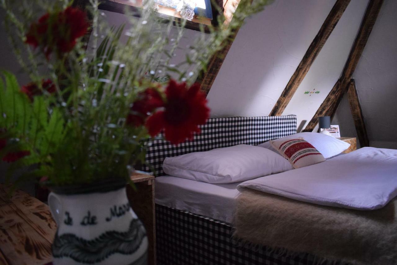 Surdesti  Iz De Maramures Rural Hotel (Adults Only) מראה חיצוני תמונה
